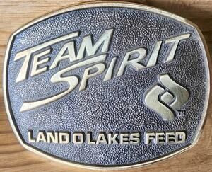 Vintage Team Spirit Land O Lakes Feed Belt Buckle Solid Brass Jadco Farm See Pic